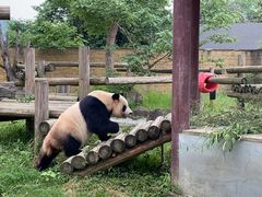 -杭州野生动物世界