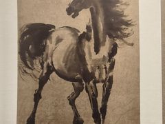 -乐山市博物馆