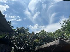 -桃源山庄·烤全羊·柴火鸡·烧烤团建(龙泉山店)