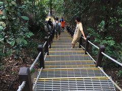 -武吉知马自然保护区