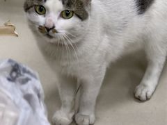 -椒香鸡(西区体育馆店)