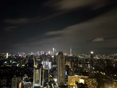 -广州中心皇冠假日酒店