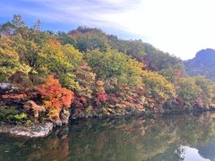 -关门山森林公园