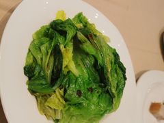 白灼本地生菜-金苑海鲜酒家(来魅力店)