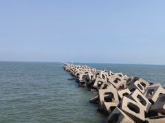 -东疆建设开发纪念公园