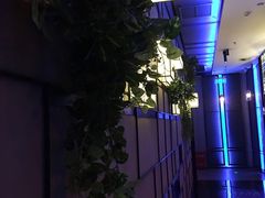 -音乐派KTV(银泰城店)