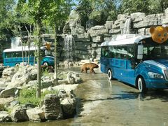 -北京野生动物园