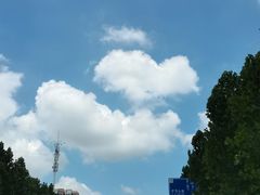 -三妮龙虾(鑫琦店)