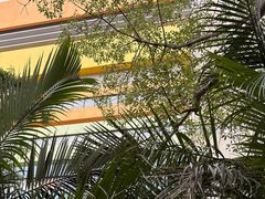 -香港皇家太平洋酒店