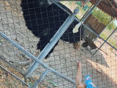 -意大利农场度假村