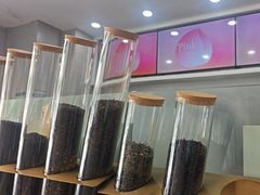 -雾与山茶(大禹城店)