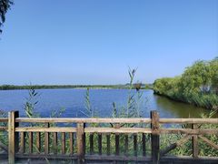 -野鸭湖国家湿地公园