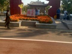 -武清南湖绿博园