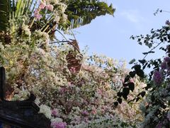 -深圳国际园林花卉博览园