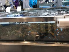 -盒马鲜生(大成店)