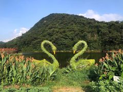 -广州市石门国家森林公园