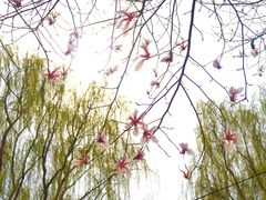 -春风习习
