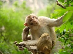 -山西通天峡景区