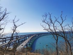 -星海湾跨海大桥
