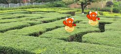 -番禺儿童公园