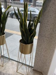 -LJOY丽锦造型·烫发染发