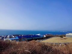 -涉地可支