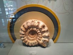 -湖南省地质博物馆