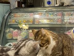 -小时光咖啡馆(北锣鼓巷店)
