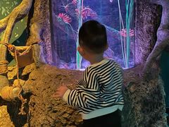 -沈阳海洋探索中心