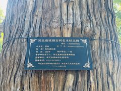 -保定直隶总督署博物馆