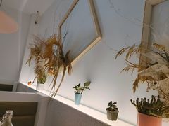 -春树下·树屋花房西餐厅(罍街AS1980店)