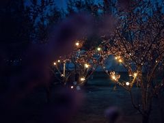 -TIPPI营地 房车主题·露营烧烤团建轰趴(天安假日店)