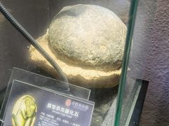 -中华赏石园