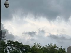 -福田红树林生态公园