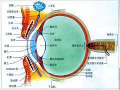 -多元奇梦视野乐园