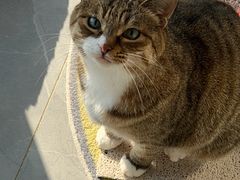 -艾贝尔宠物医院 ·内科全科(梁溪路店)