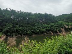 -青龙山国家森林公园