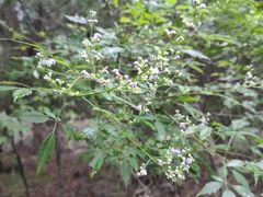 -青州市云门山风景区