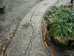 -叶家花园