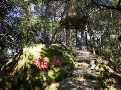 -南山植物园
