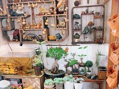 -Rabbit Cafe私房西餐甜点咖啡(栖霞路店)