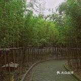 周末放假肯定要去逛公园呀