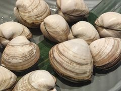 白蚬子-大呲花丹东海鲜烤肉(梅林店)