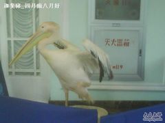 -中国福利会少年宫