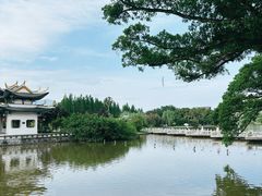 -江心屿景区