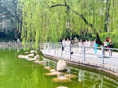 -莲湖公园