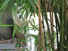 -沪东工人文化宫