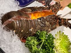 -海月轩海鲜豆捞(紫金塔店)