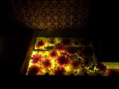 -花马天堂云南餐厅 Lost Heaven(高邮路店)