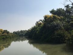 -大湾区中央湿地公园